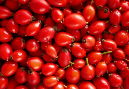 500g rosehip (fine cut)