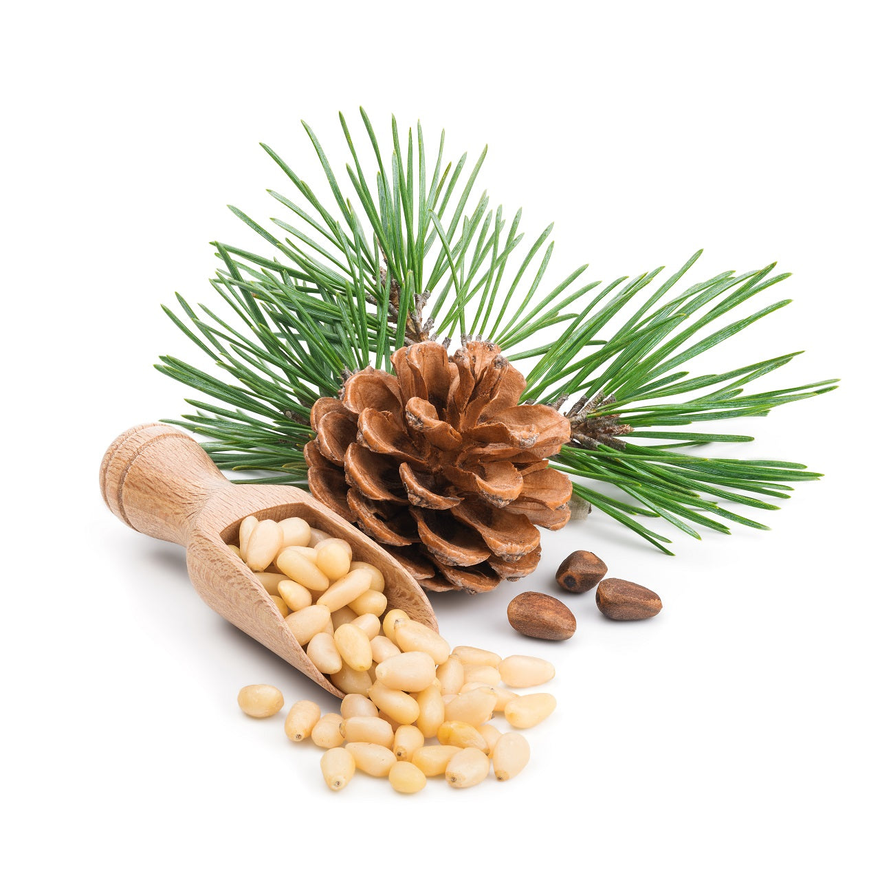 Pine nuts 500g 